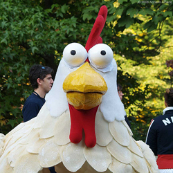 pollo
